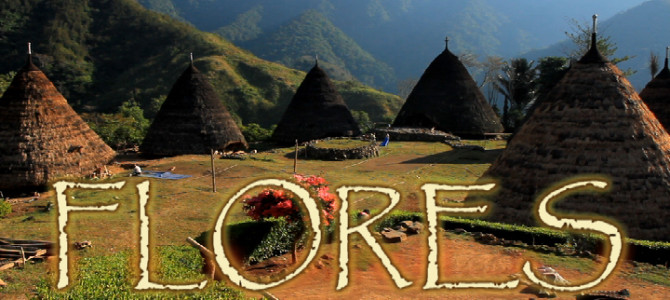 Flores ostrov sopek i tajemných rituálů